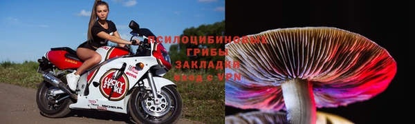 мдма Елизово