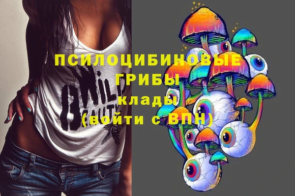 мдма Елизово
