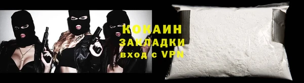 трава Ельня