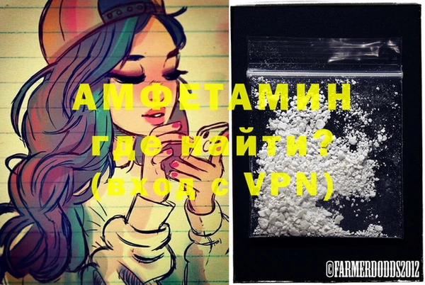 трава Ельня