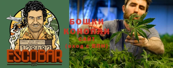 трава Ельня