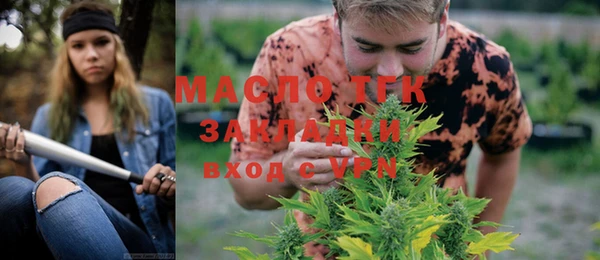 трава Ельня
