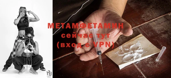 трава Ельня