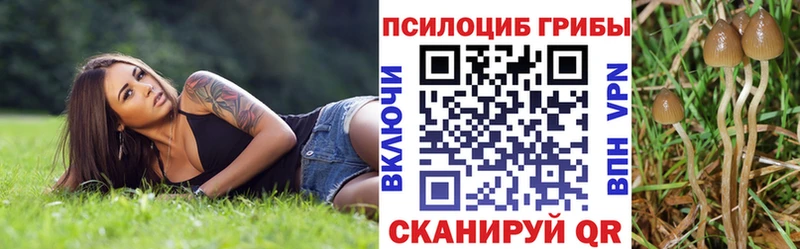 Галлюциногенные грибы мухоморы  купить наркоту  Егорьевск 
