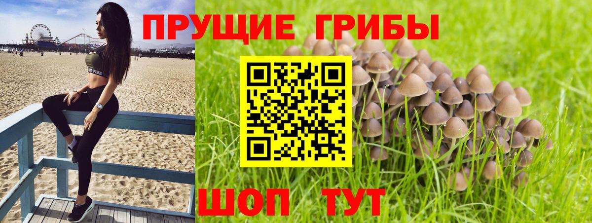 Галлюциногенные грибы MAGIC MUSHROOMS  Егорьевск 