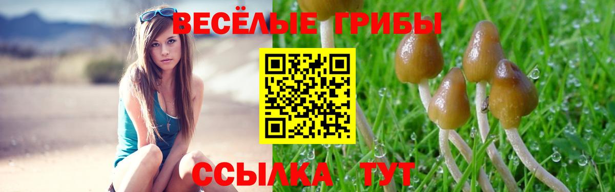 Псилоцибиновые грибы мухоморы Егорьевск